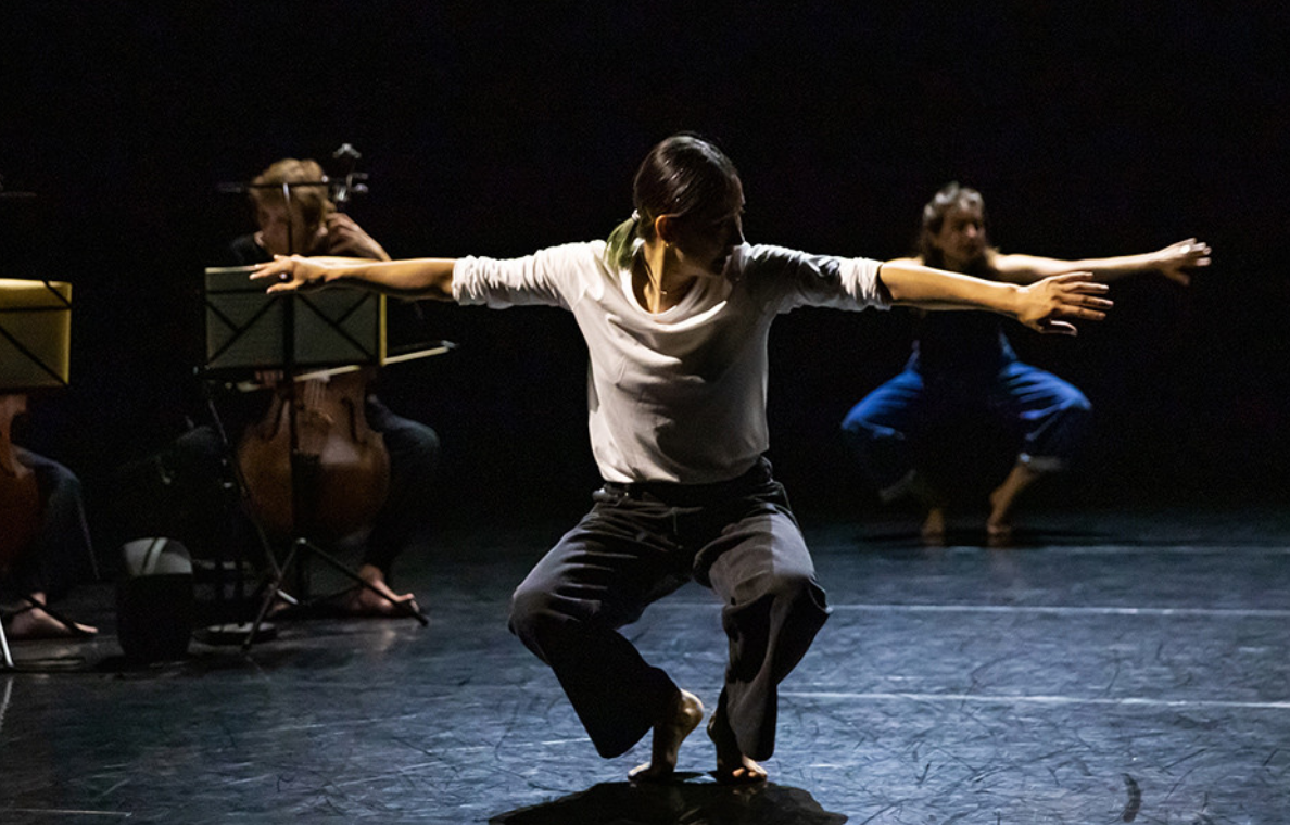 Stage de danse contemporaine